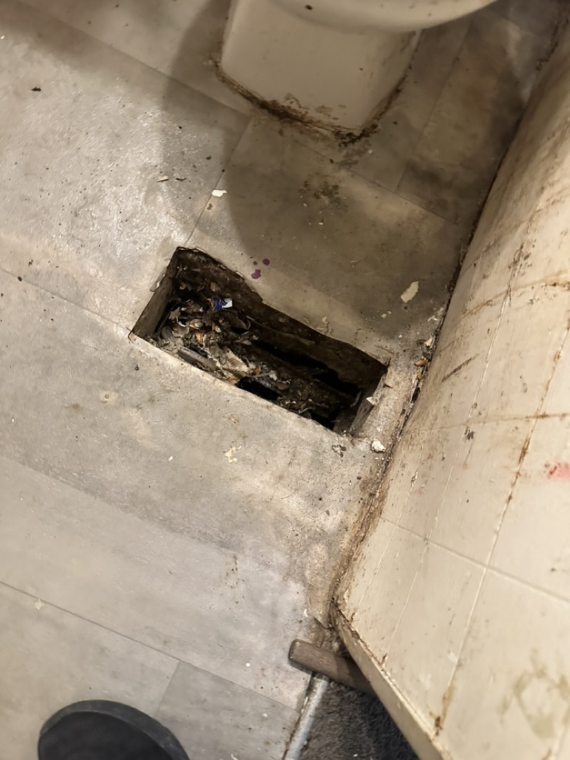 Rotted subfloor opened up beside a toilet before renovation.