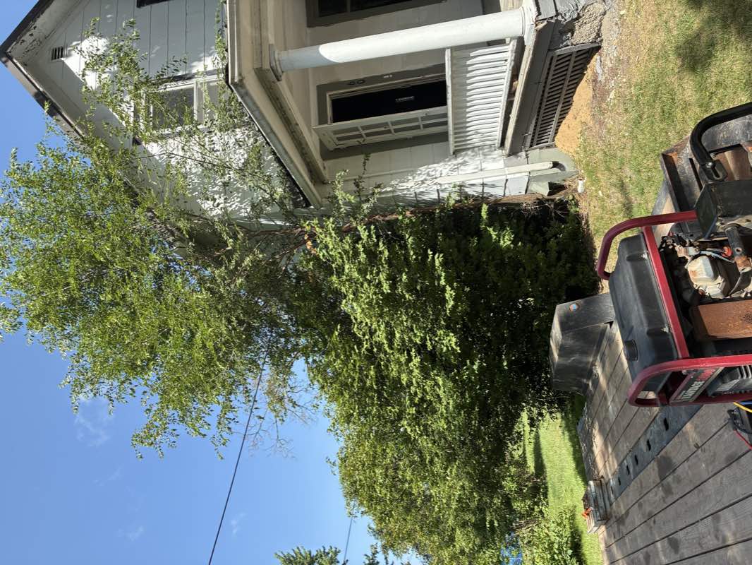 The house before renovation: weathered siding, an aging covered porch, and heavy overgrowth against the walls.